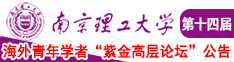 啊啊啊呃呃啊好大用力鸡扒快给我南京理工大学第十四届海外青年学者紫金论坛诚邀海内外英才！